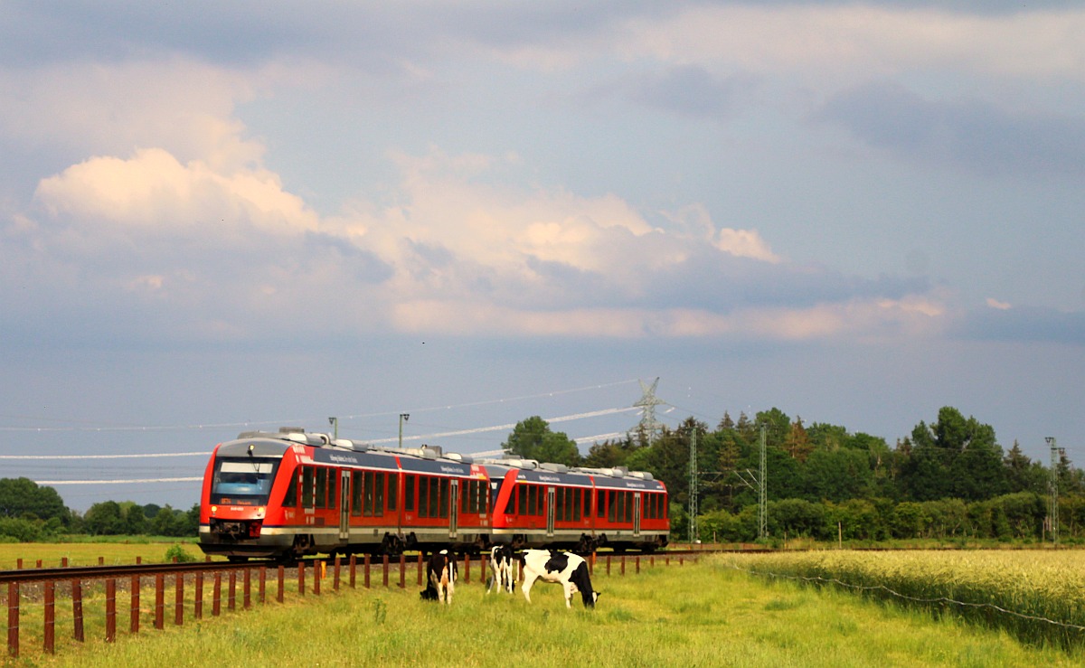 NAH.SH Lint Doppel als RE74 nach Husum. Jübek/Jyderupweg 25.06.2022