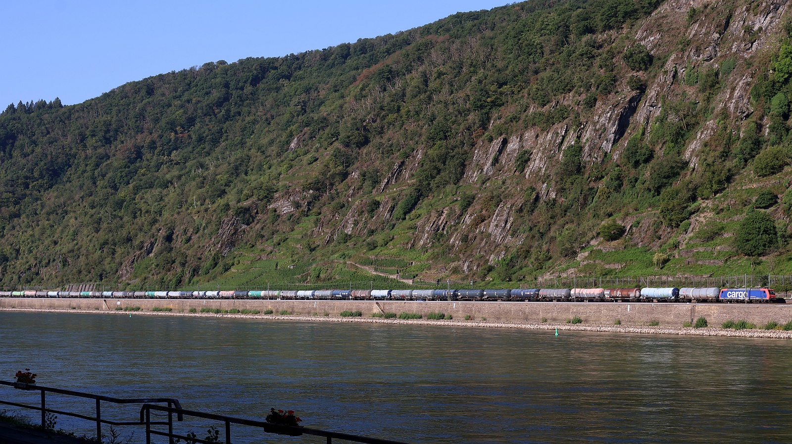 Alle Bilder vom 11.08.2025 sind wegen der enormen Hitze aus unserer Ferienwohnung in Kestert aufgenommen worden. Der Blick �ber den Rhein zeigt einen Streckenabschnitt zwischen Boppard-Bad Salzig und Boppard-Hirzenach. 
SBB 482 006-4 rumpelt hier mit einem Kesselzug gen Koblenz. Kestert 11.08.2025