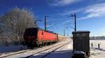 DSB Litra 3242 mit Eurocity nach Dänemark passiert hier den Bü Jübek-Nord am 04.01.2026