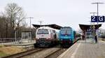 DB Original und Nachfolger....218 497 und 245 204 beim Treffen im Bhf Nieb�ll 27.02.2024