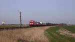 DB 245 021 mit nem SyltShuttle aufgenommen am Bü Lehnshallig (km 205,724) Lehnshallig/Klanxbüll 01.05.2023 