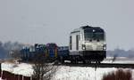 RDC 247 908 mit AZS nach Nieb�ll, Einfahrt Lehnshallig 05.03.2018