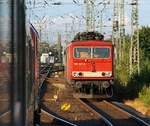 DB 155 167-0 abgestellt beim Gbf Neumünster aufgenommen aus der in Neumünster einfahrenden Regionalbahn.